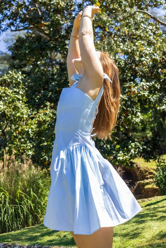 Gingham Picnic Dress Blue
