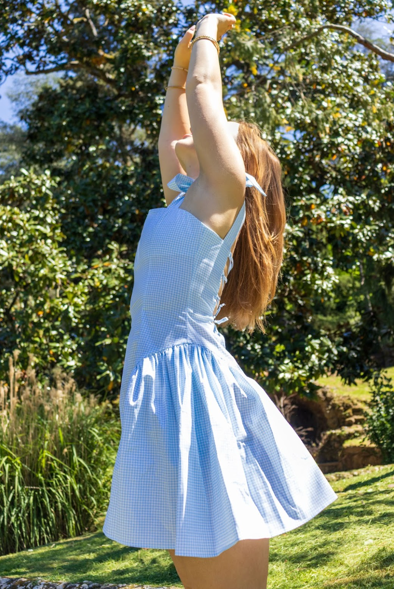 Gingham Picnic Dress Blue